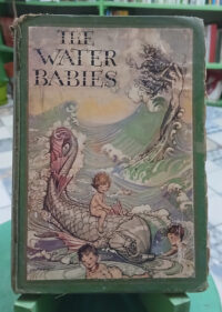 The Water Babies - Charles Kingsley -