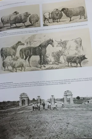 Una Historia Del Progreso Argentino - Juan Carlos Grassi