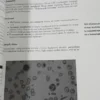 778584-MLA115721088411_082026 First Aid For The Usmle Step 2