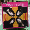 Pink Floyd Discrografia Illustrata - Franco Brizi