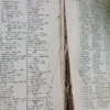 Guía Médica - Chernoviz 1899