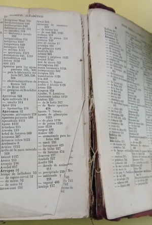 Guía Médica - Chernoviz 1899