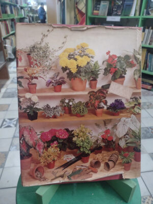 El Libro De Oro Del Jardín Y Las Plantas Del Interior