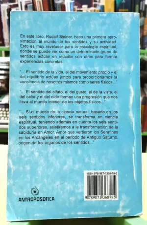 659489-MLA118520979037_092026 Teoría De Los Sentidos - Rudolf Steiner