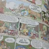 Asterix: La Cizaña - Goscinny, Uderzo