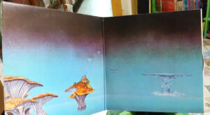 716340-MLA118262256695_092026 Yes Songs Lp Importado 1972 Triple Edición Limitada