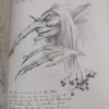 844608-MLA117712993227_092026 Hadas - Brian Froud, Alan Lee