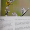 Aves & Mariposas - Jardín