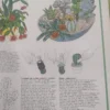 El Libro De Oro Del Jardín Y Las Plantas Del Interior