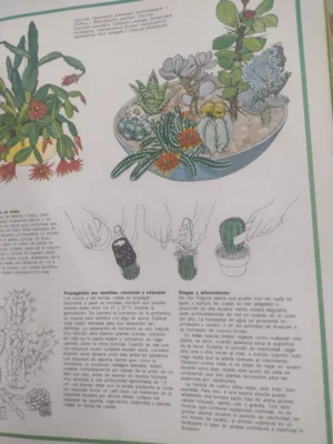 El Libro De Oro Del Jardín Y Las Plantas Del Interior