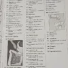 Manual Para La Restauración De Antigüedades - Jackson & Day